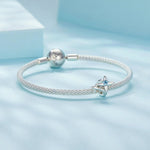 Airplane & Blue Star Crystal Charm