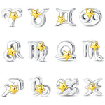 Gold Star Astrology Signs Zodiac Constellation Charms