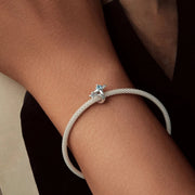 Airplane & Blue Star Crystal Charm