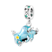 Celestial Astrology Signs Zodiac Constellation Charms