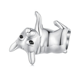 French Bulldog Charm