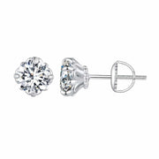 Letoton Moissanite Stud Earrings